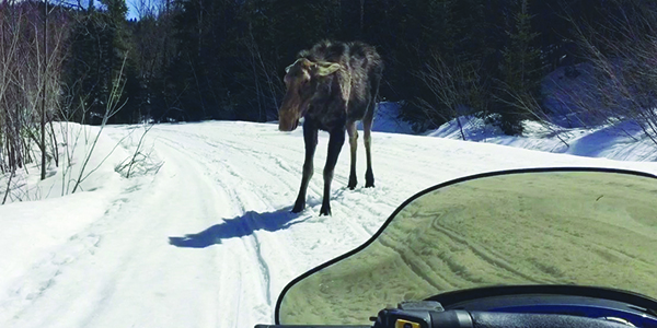 yellowstone,quebec,snomobiling,borders